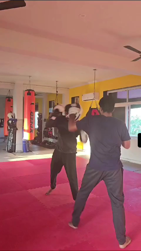 Fitness & Weight Loss at K MMA